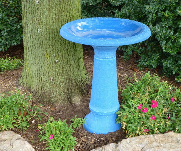 TDI48187 bird bath.jpg